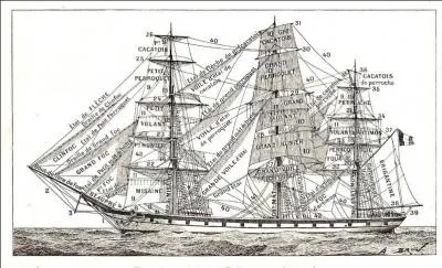 Ce dessin vous résume le nom de toutes les voiles ! Ainsi, entre les perruches, perroquets et autres volatiles, vous saurez où se trouve le fameux "cacatois", non ?