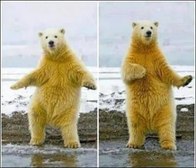 Inspirez-vous de la photo !