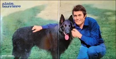 Un vent celte souffle sur cette chanson, alors accrochez-vous à la barrière !