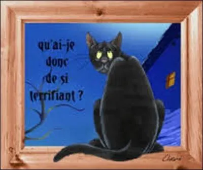 Pendant l'Inquisition, en 1484, quel pape rédigea un édit qui permettait de sacrifier des chats pour les fêtes populaires ? (À l'époque, ces derniers étaient considérés comme "le vêtement" du diable sur Terre. Il faudra attendre 1648, et Louis XIV pour interdire cette pratique).