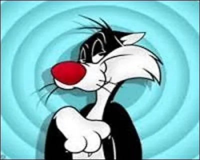 Dans cette série animée, quel est le nom du chat qui poursuit toujours et sans résultat le petit canari jaune nommé "Titi" pour le manger ?