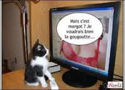 Dans la chanson "Brave Margot" de Georges Brassens, sortie en 1953, que venaient voir les gens du village quand Margot dégrafait son corsage ?