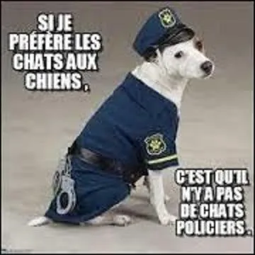 Quel romancier, dramaturge, poète, cinéaste, peintre, dessinateur, lithographe, céramiste et tapissier français a dit : "J'aime les chats parce qu'il n'existe pas de chats policiers." ?