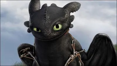 Ce film d'animation de 2010 des studios Dreamworks introduit un dragon nommé Krokmou qui se lie d'amitié avec un jeune viking, Harold. Dans quel film Krokmou fait-il son apparition ?