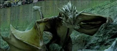 Dans un univers de sorciers, ce dragon s'avère particulièrement féroce. Notre héros va devoir l'affronter. Mais dans quel film ?