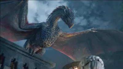 Ce dragon de belle envergure pourrait être considéré comme le fils de Daenerys Targaryen, issue d'une famille dont le blason représente un dragon à trois têtes. Mais où peut-on les apercevoir ?