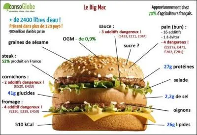 En regardant la photo et en comptant bien, combien d'additifs dangereux contient le burger si réputé ?
