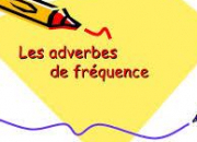 Quiz Les adverbes de frquence en anglais