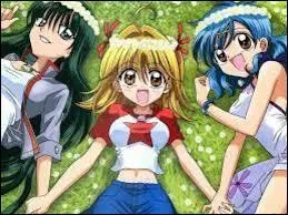 Quelle sirène a été découverte après Lucie ?