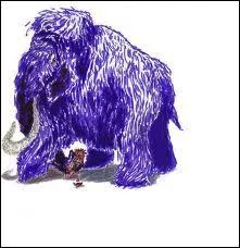 Comment s'appelle le familier de Fabrice ?