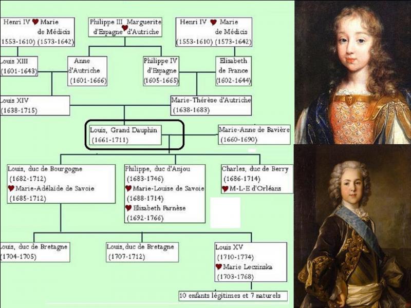 La consanguinité dans la famille royale est importante. Normalement, dans une famille où cette consanguinité est absente, il y a quatre arrière-grands-pères.Combien d'arrières grands-parents le grand-dauphin Louis, fils de Louis XIV a-t-il eu ?