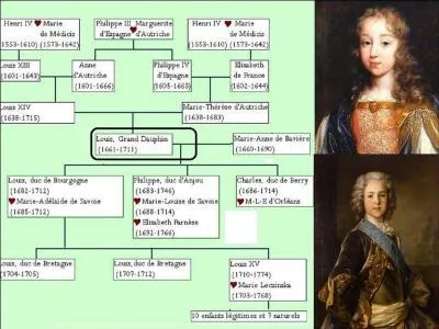 La consanguinité dans la famille royale est importante. Normalement, dans une famille où cette consanguinité est absente, il y a quatre arrière-grands-pères.
Combien d'arrières grands-parents le grand-dauphin Louis, fils de Louis XIV a-t-il eu ?