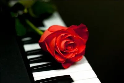 « Et si tu n'existais pas, dis-moi pourquoi j'existerais ? ». Qui chantait ces paroles ?