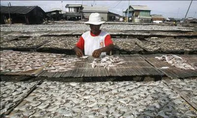 Instrument médical très utile pour écarter des cavités afin d'en examiner l'intérieur !