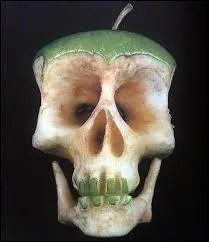 Donnez-moi le nom de ce conte où l'on trouve une belle jeune fille mordant dans une pomme empoisonnée :