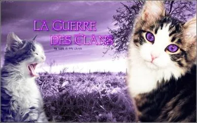 Qui Carcasse a-t-il tué ?