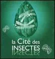 La visite de la Cité des Insectes de Nedde permet de s'informer sur une agriculture naturelle, le respect de la nature et la biodiversité, sur la vie des insectes. Où faut-il se rendre pour la trouver ?
