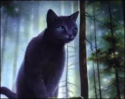 Quel est le nom de guerrière d'Étoile Bleue ?