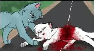 Comment meurt la sur d'Étoile Bleue ?