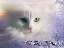 Comment s'appelle le neveu d'Étoile Bleue ?