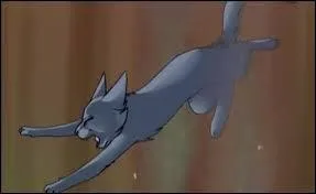 Comment meurt Étoile Bleue ?