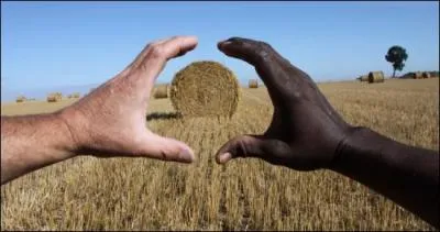 Trouvez ce titre des Négresses Vertes !