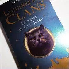 Comment Croc Jaune rejoint-elle le Clan des Étoiles ?