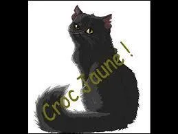 Quels ont été les 3 noms de Croc Jaune ?