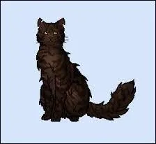 Combien de petits Croc Jaune a-t-elle eus et combien ont survécu ?