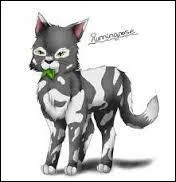 Pourquoi Croc Jaune devient-elle guérisseuse ?