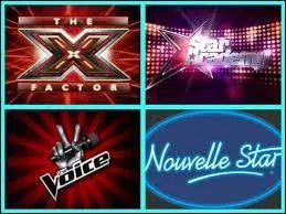 Dans quel télé-crochet ont-ils auditionné séparément, en solo ?