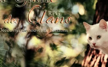 Quiz Guerre