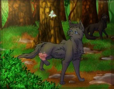 Quels sont ses noms de chaton, apprentie et guérisseuse ?