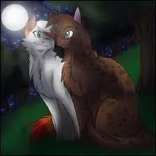 Qui devint le compagnon de Fleur de Bruyère ?