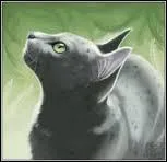 Combien d'autres portées eut Fleur de Bruyère ?