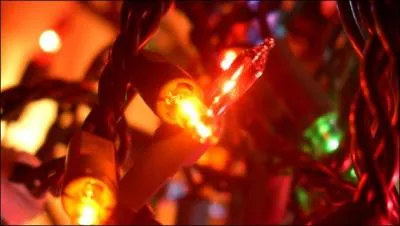 Avec quoi va-t-on décorer cet arbre de Noël ?