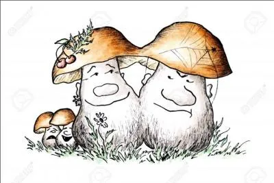 Nous sommes des bolets à pieds...