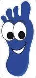 On me nomme pied bleu, qui suis-je ?