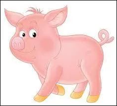 C'est mon pied ! Que fait-on de lui ?