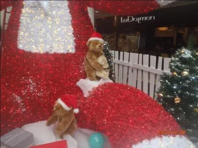 Adjectif : qui possède un ou plusieurs noyaux !