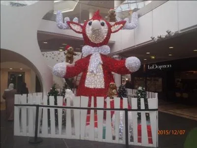 Conjuguez le verbe nucléer à la première personne du passé antérieur de l'indicatif !