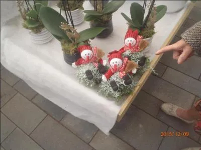 En répondant à cette question, vous l'utilisez !