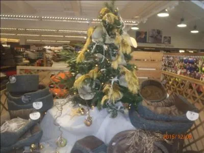 Personne ayant une nette tendance à mettre au soleil ce qu'habituellement la décence interdit de montrer