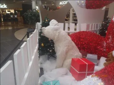 Ce fruit est également appelé aveline !