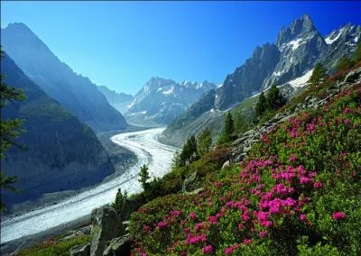 Dans quel département français la Mer de Glace se situe-t-elle ?