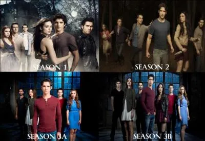 Combien y a-t-il de couples dans la saison 4 ?