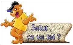 Et enfin, treizième et dernière chose à ne jamais faire : demander aux joueurs si le quiz leur a plu. Alors, ce quiz vous a-t-il plu ? Pour trouver la bonne réponse, sachez simplement que la flatterie me gêne un peu ^^, et qu'un auteur assez normal ne mettrait pas que son quiz est nul.