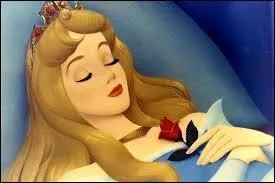 C'est une princesse qui a pour prénom Aurore et qui a dormi pendant une centaine d'années, elle a...