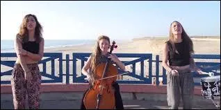 Quelle chanson n'est pas repris par L.E.J dans "Summer 2015" ?