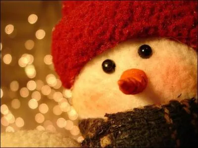 Les premiers sapins de Noël sont apparus en Alsace, mais quelle était la date ?